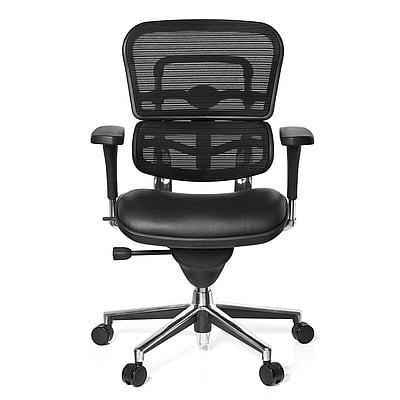 Bürostuhl Chefsessel ERGOHUMAN BASE Sitz Leder/Rücken Netz schwarz - HJH-652987